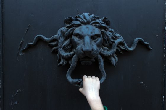 Knock on Lion's Door