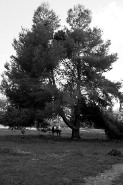 RestTree